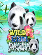 เล่นสล็อต ฝาก 50 ฟรี 150 อย่างไรให้ได้ผลลัพธ์ที่ดี